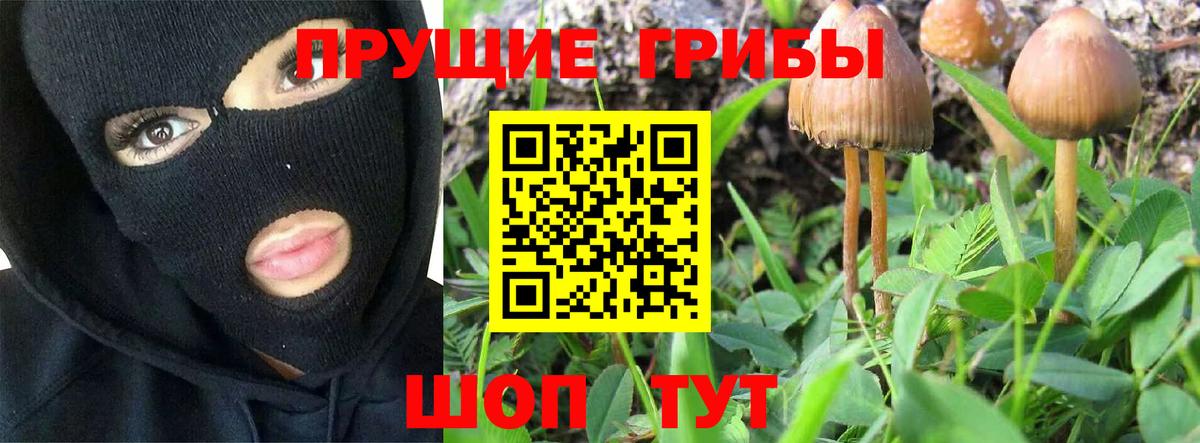 Псилоцибиновые грибы Magic Shrooms  Вход с VPN  Грозный 