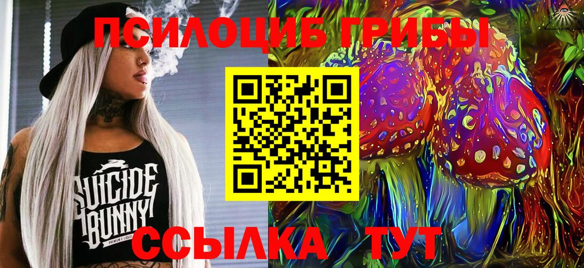 Галлюциногенные грибы мицелий Грозный