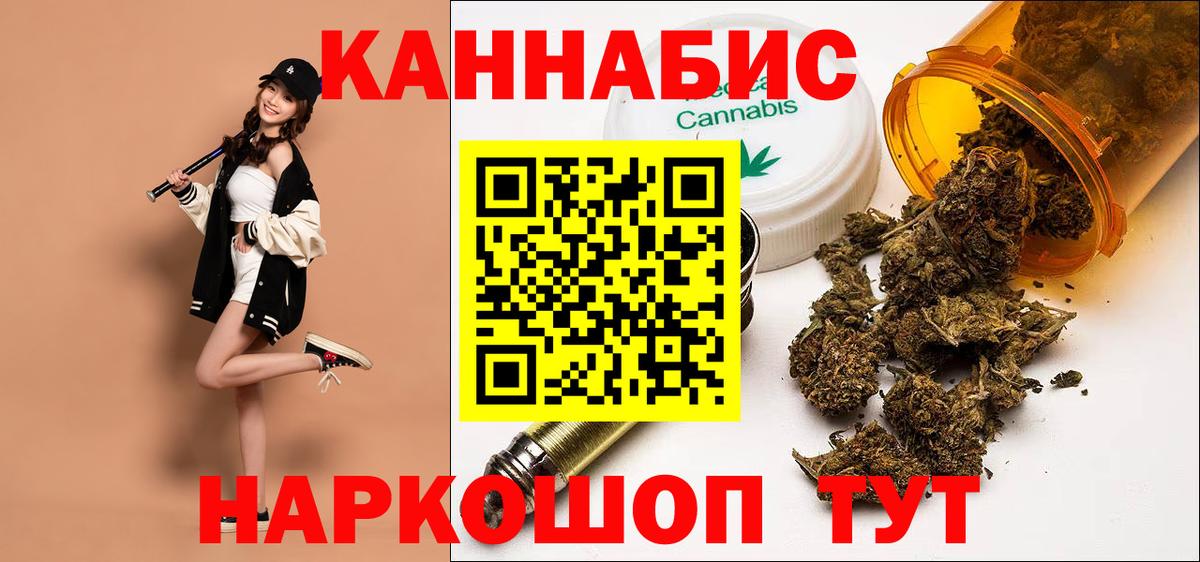 Конопля план  Вход с VPN  МАРИХУАНА семена  Грозный  Канабис сатива 